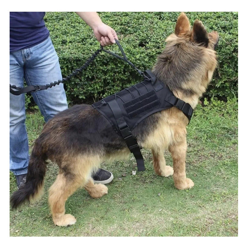 Arnés Táctico Ajustable Lanzamiento Perros Grandes Norplat