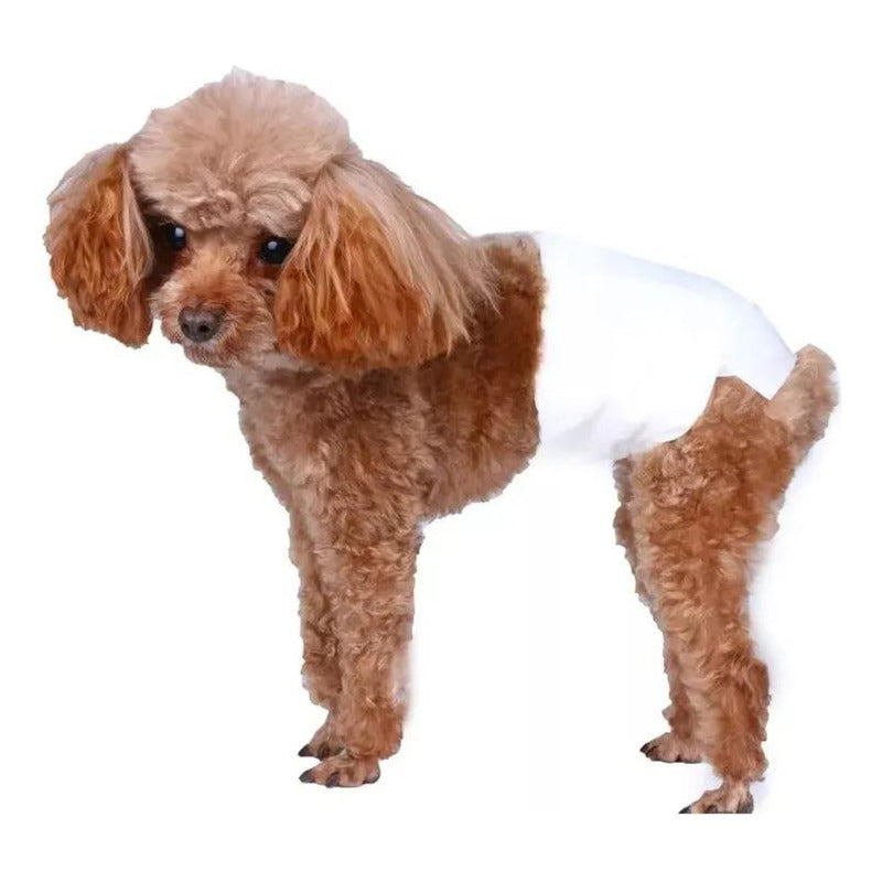 Pack 12 Unid Pañal Sanitario Desechables Mascotas Perra Gata