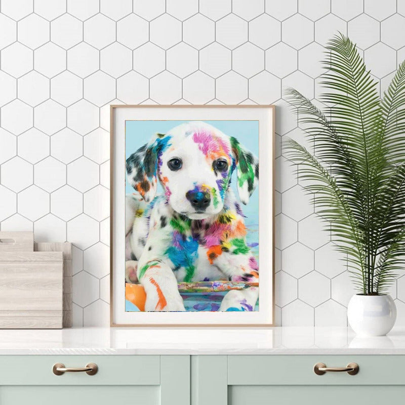 Bordado Pintura Diamante - 40x30cm Diseños Varios - Norplat