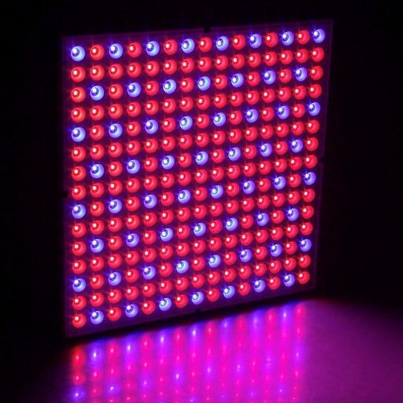 Foco Led Indoor Luz Para Crecimiento Plantas Cultivo Norplat