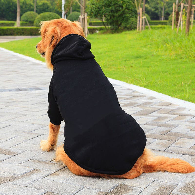 Poleron Capa Con Gorro Perros 6xl A 9xl Chalecos - Norplat Negro 9xl