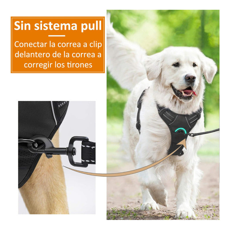 Norplat Pechera Perro Arnes Anti Tirones Reflectante