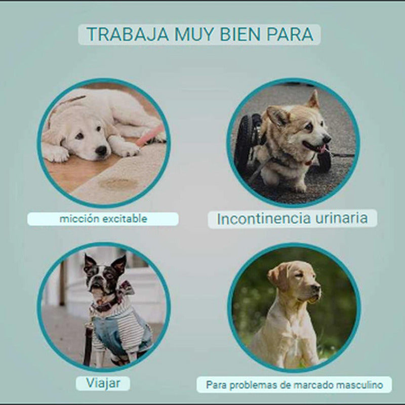 24 Pañales Perros Macho Pañal Para Gato - Norplat Blanco M