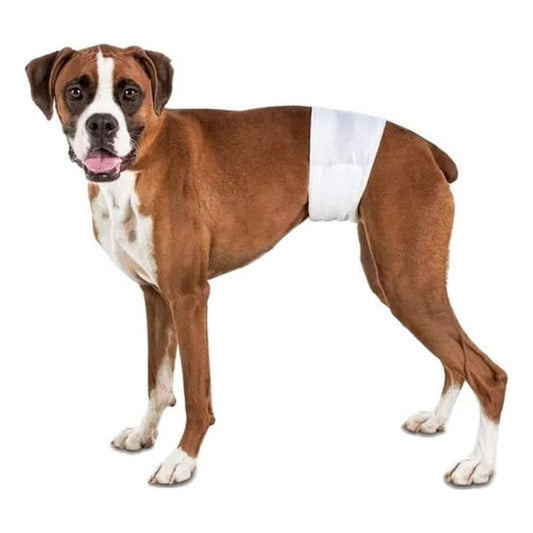 24 Pañales Perros Macho Pañal Para Gato - Norplat Blanco M