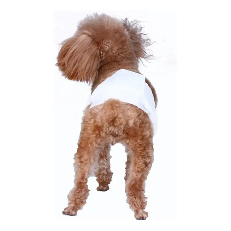 24 Pañales Perros Macho Pañal Para Gato - Norplat Blanco L