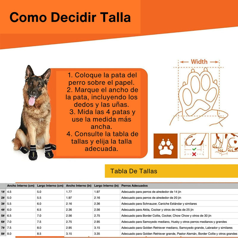 Zapato Zapatilla Camping Perro Antideslizantes Impermeable