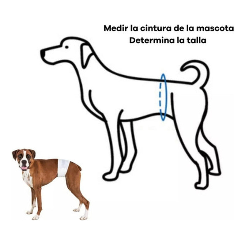 24 Pañales Perros Macho Pañal Para Gato - Norplat Blanco L