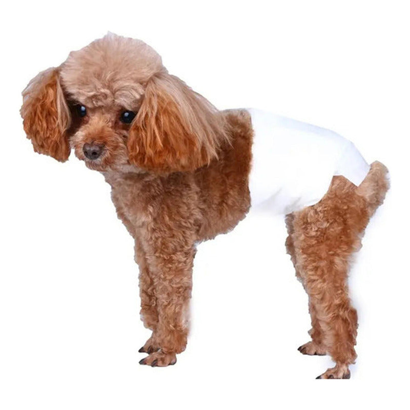 24 Pañales Perros Macho Pañal Para Gato - Norplat Blanco M