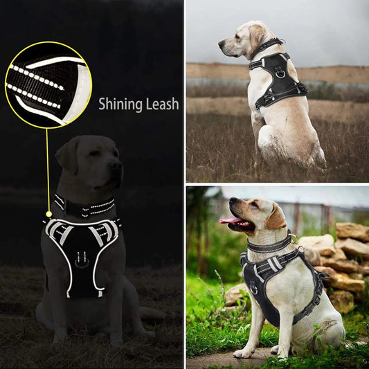 Norplat Pechera Perro Arnes Anti Tirones Reflectante