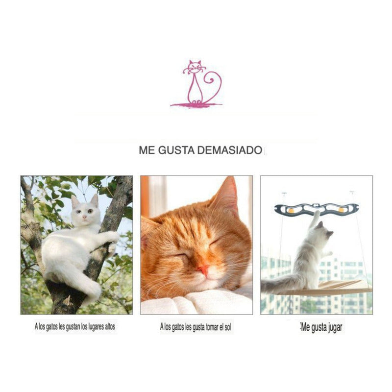 Hamaca Para Gatos Cama De Gato Cama Colgante Ventana - Wuf