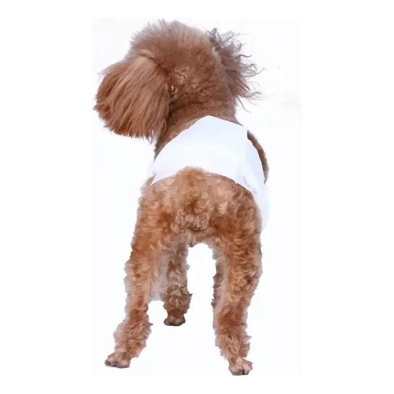 Pack 12 Unid Pañal Sanitario Desechables Mascotas Perra Gata