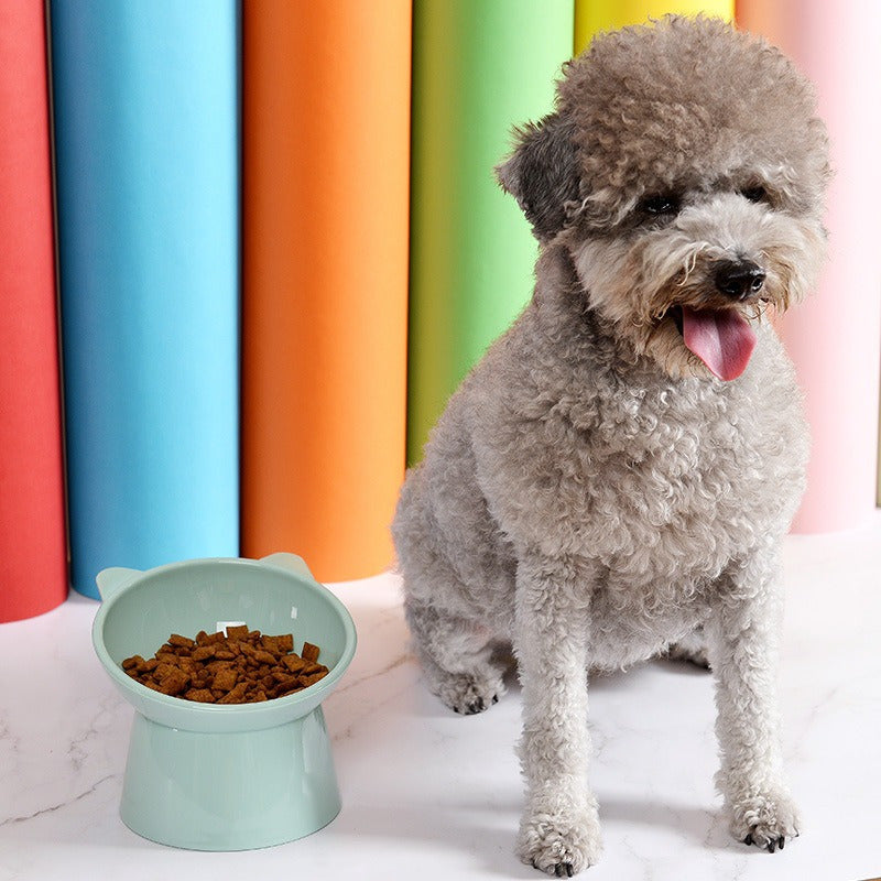 Cuenco Para Mascotas Inclinado Elevado Para Gatos Perros Wuf