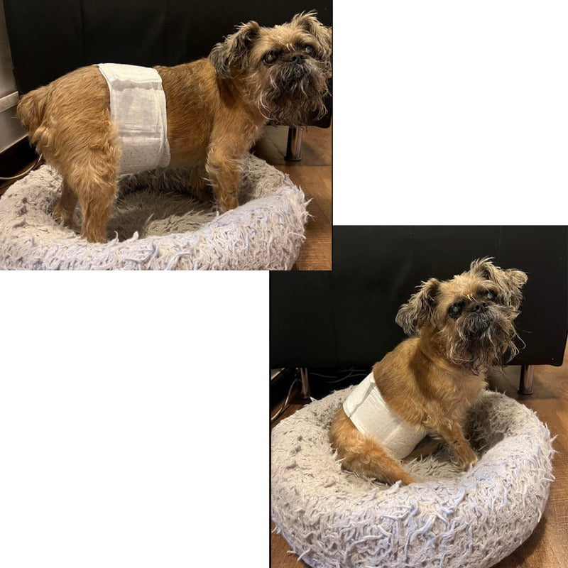 Pack 12 Unid Pañal Sanitario Desechables Mascotas Perra Gata