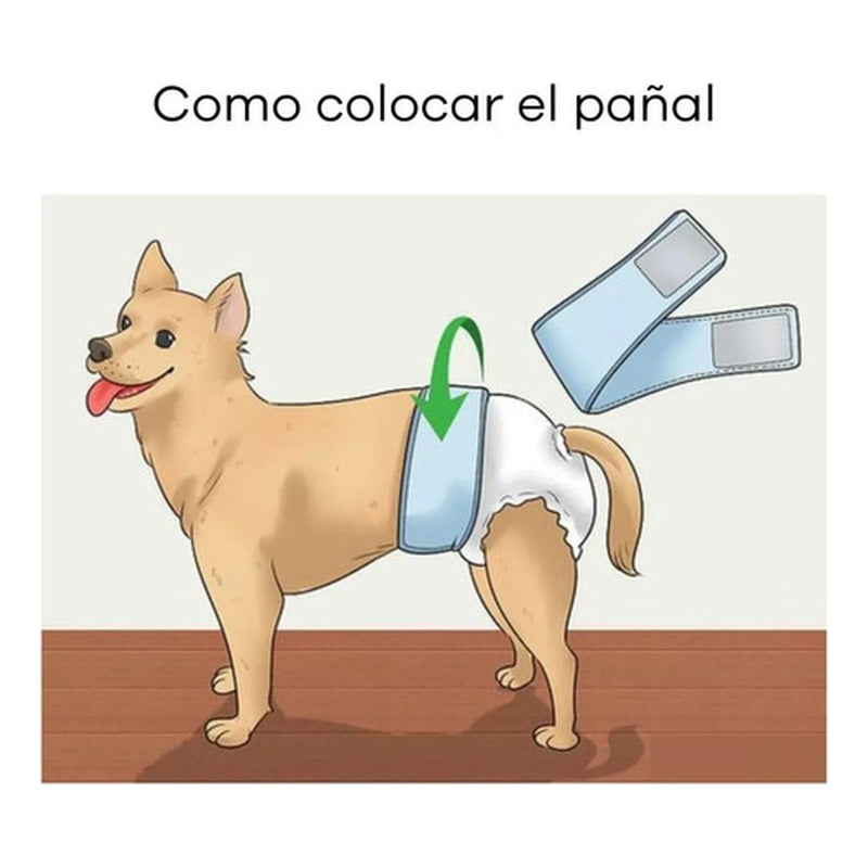 24 Pañales Perros Macho Pañal Para Gato - Norplat Blanco L