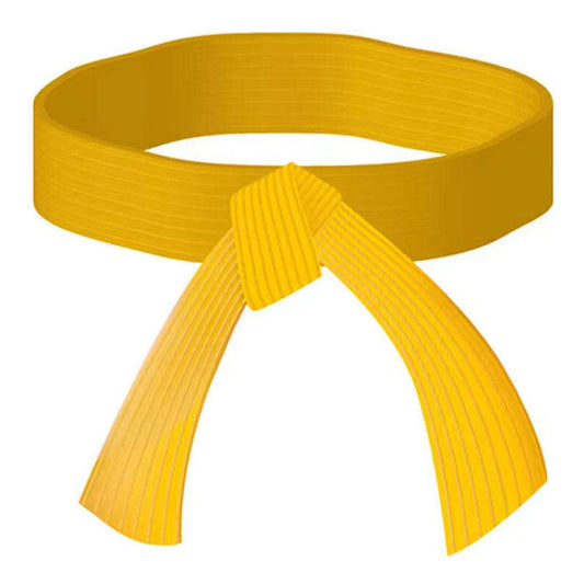 Cinturon Artes Marciales 2.4m Karate Taekwondo Judo Norplat