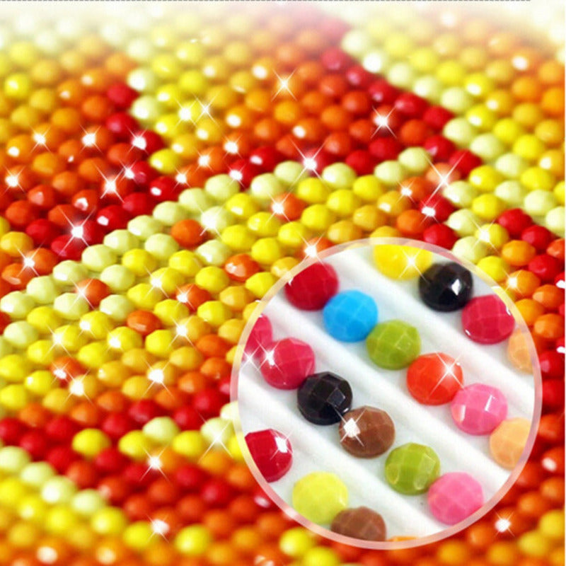 Bordado Pintura Diamante - 40x30cm Diseños Varios - Norplat