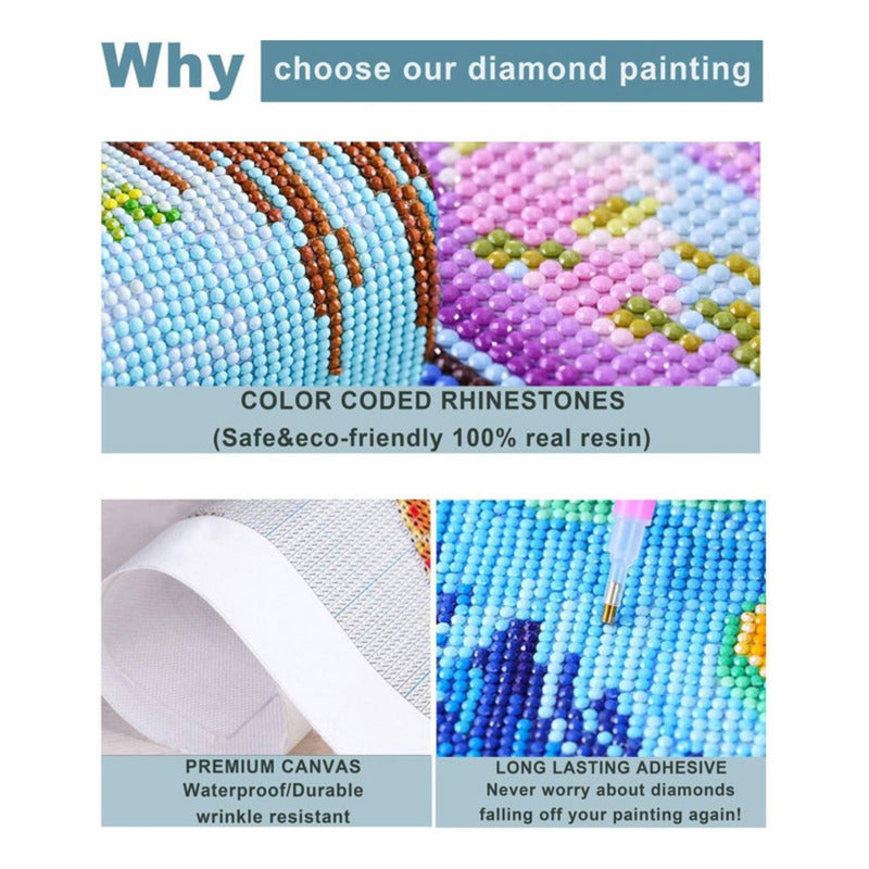 Bordado Pintura Diamante - 40x30cm Diseños Varios - Norplat