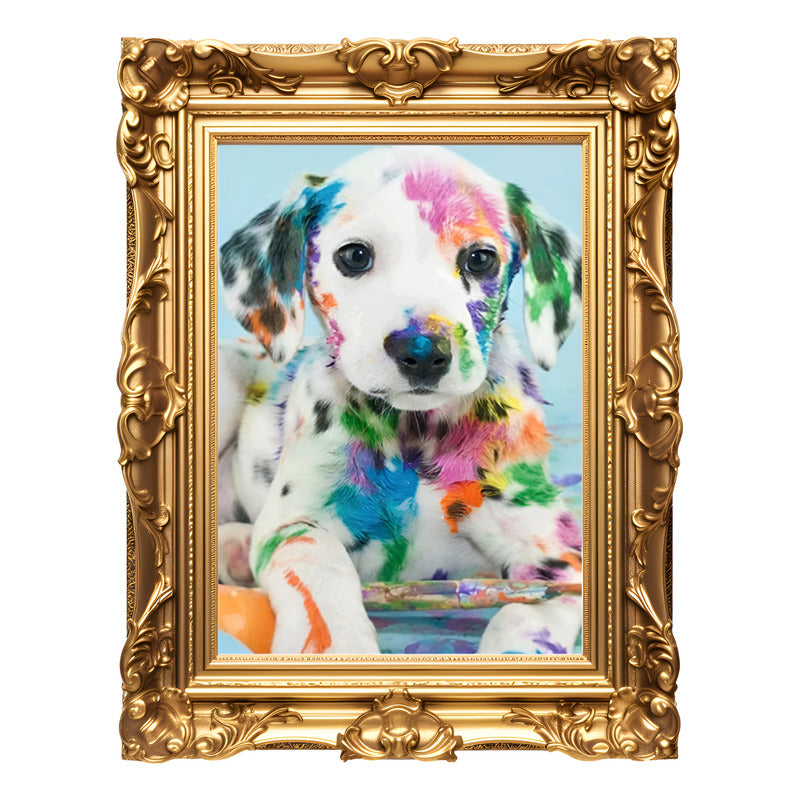 Bordado Pintura Diamante - 40x30cm Diseños Varios - Norplat