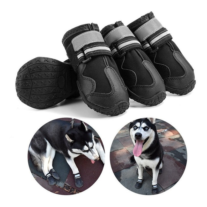 Zapato Zapatilla Camping Perro Antideslizantes Impermeable