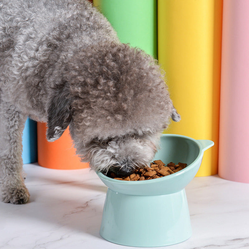 Cuenco Para Mascotas Inclinado Elevado Para Gatos Perros Wuf