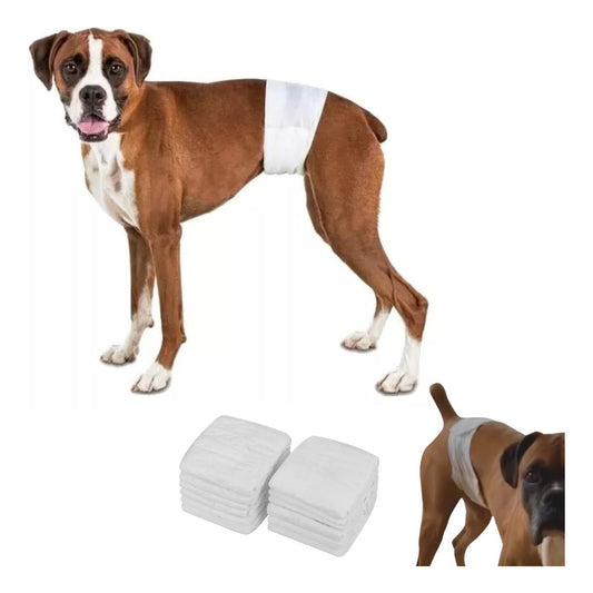 Pack 12 Unid Pañal Sanitario Desechables Mascotas Perra Gata